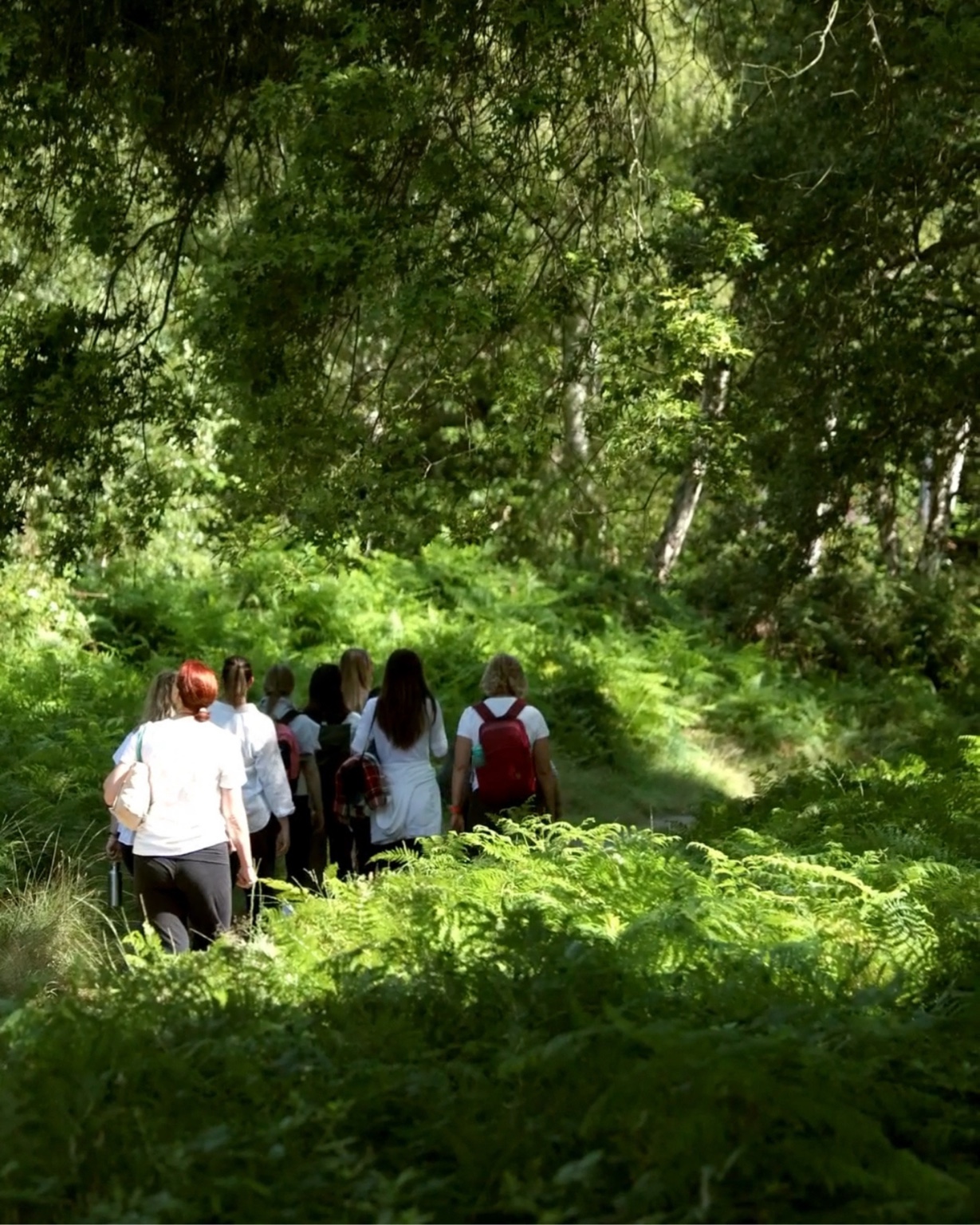 Participants walking together into green woodland